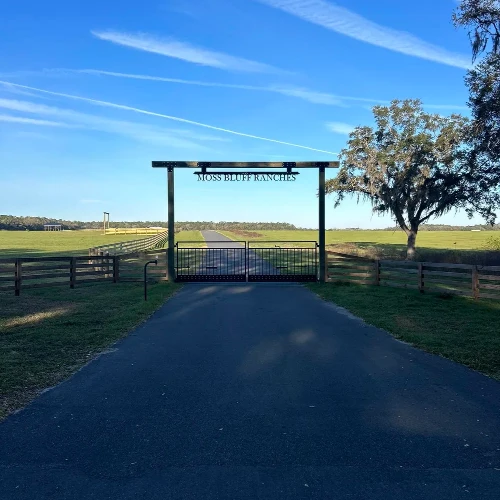 fencing with automatic gate and entrance
