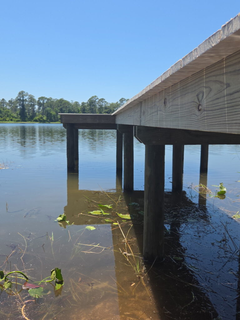 Dock