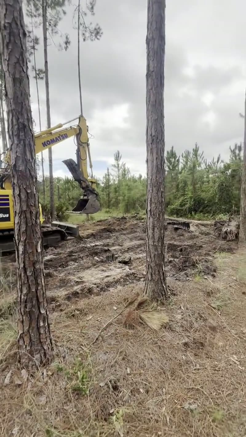 Barndominium Builder Teardown Land Clearing Interlachen Florida