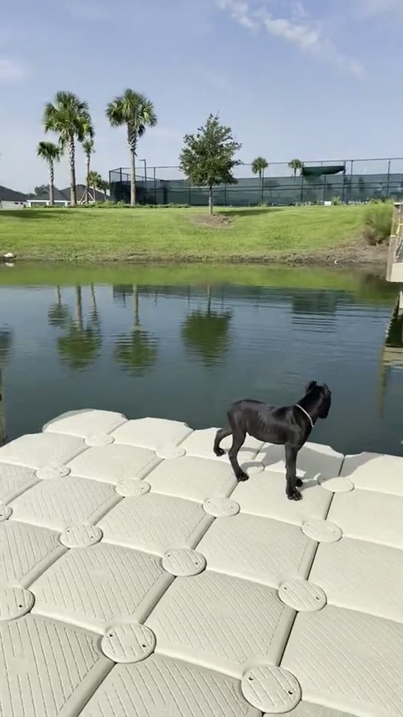 Custom Dock Covered Floating Dock the Villages Florida