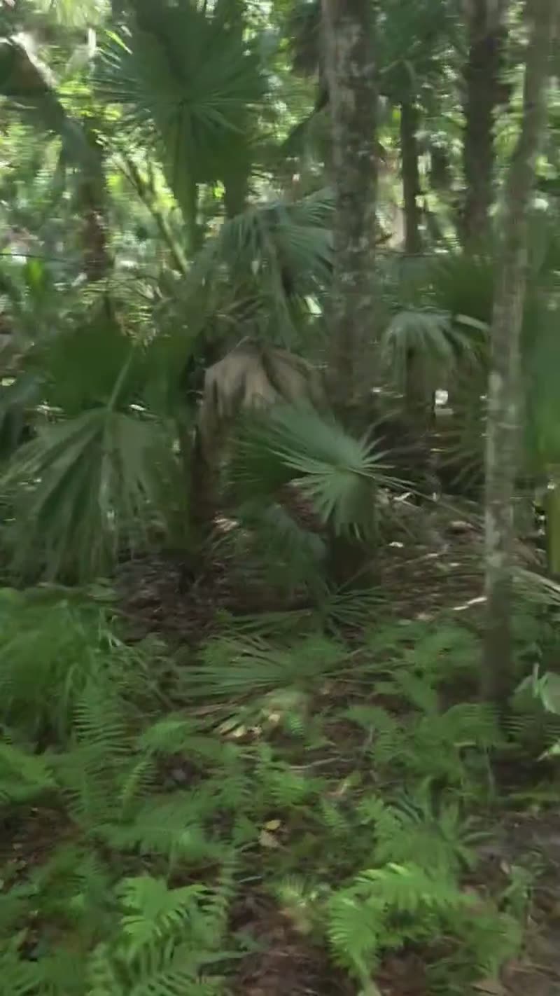 General Contractor Creek Bridge Juniper Springs Florida