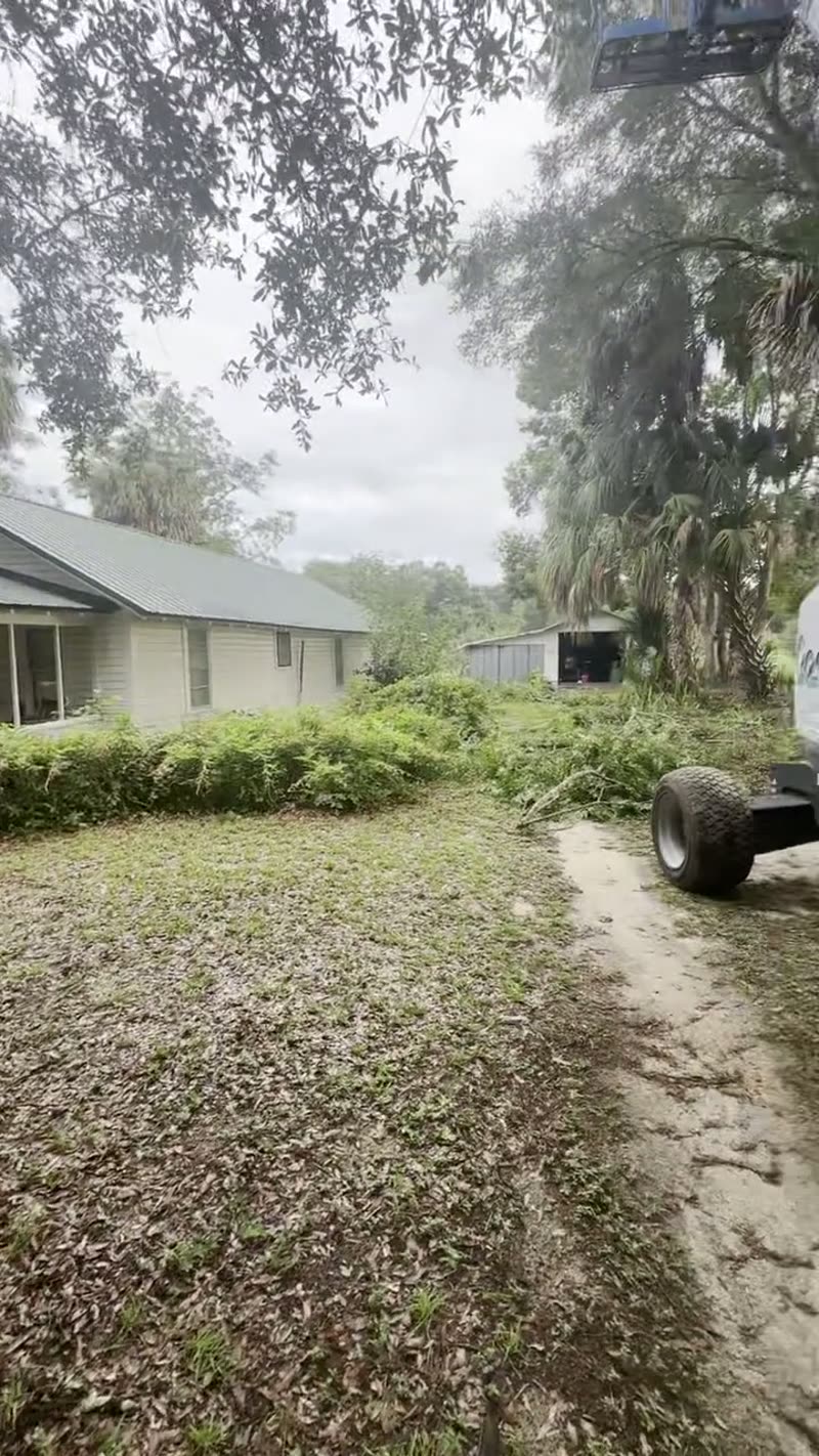 Pole Barn Site Prep Tree Clearing Central Florida