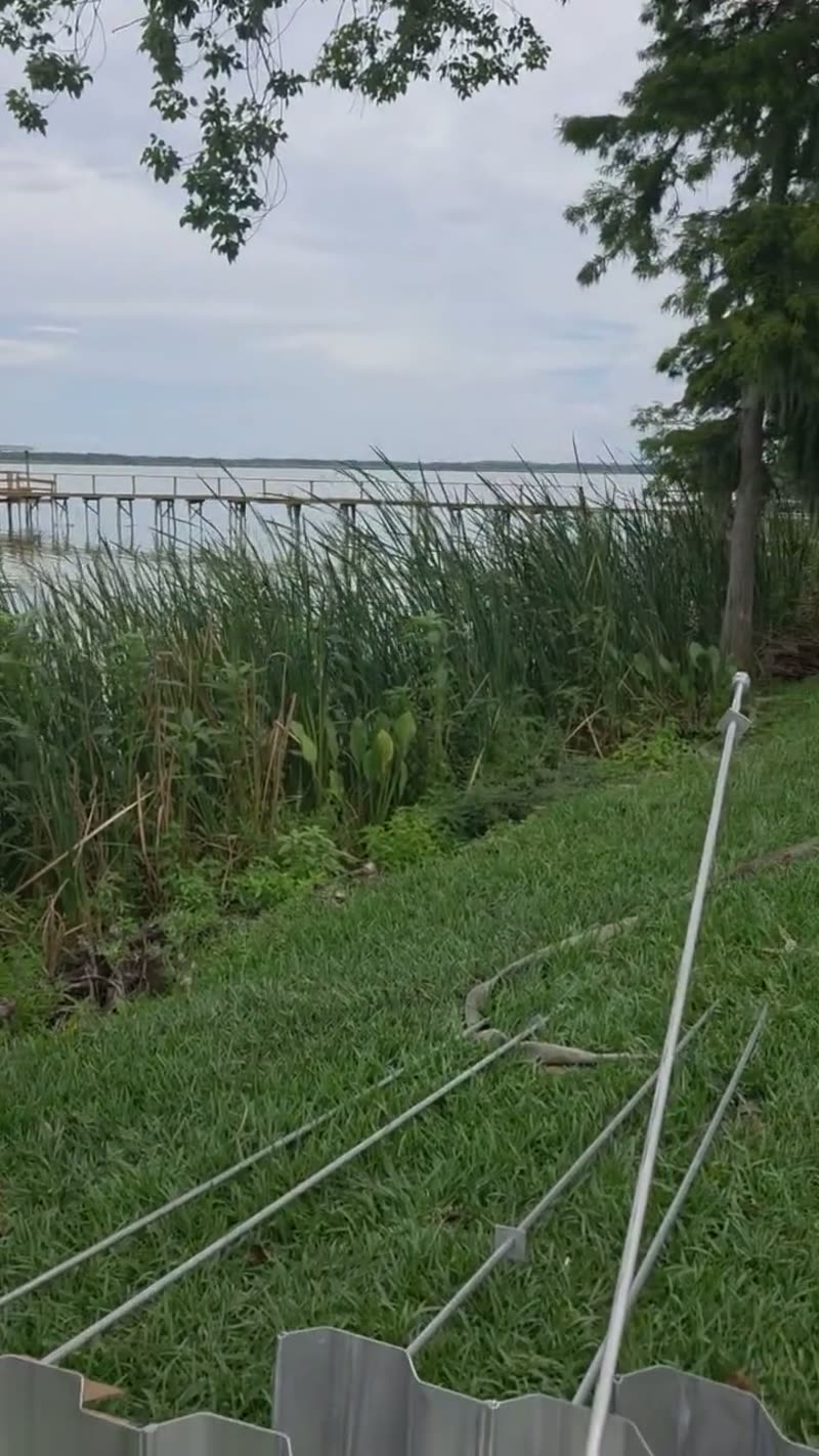 Seawall Construction Tie Backs Central Florida